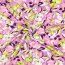 French Terry Blumen - pink / LIME