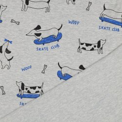 Baumwolljersey Sketeboard - hellgrau meliert