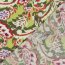 Polyesterstoff Bubble Slub magische Blumen - kiwi