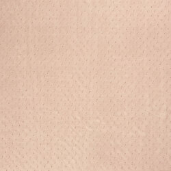 Chiffon Bestickt Punkte Uni  - rosé