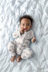 Baumwolljersey Bio~Organic kleine Dinos - creme