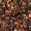 Polyester Satin Samt bunte Kunst - steinrot