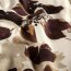 Viskosesatin Blumen