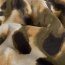Viskose Nylon Crêpe Kleckse -