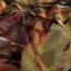 Polyester Viskose Mix Farbrausch - ziegelrot
