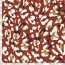 Viskose Nylon Crêpe getupftes Leo - ziegelrot