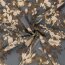 Satin Duchesse Blumen