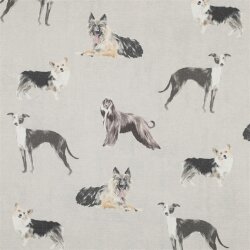Canvas Digital Hunde - creme