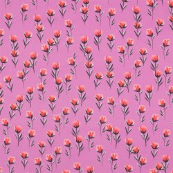 Baumwollpopeline Digital Blumenwiese - fuchsia