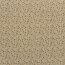 Baumwolljersey Blümchenregen - cremebeige