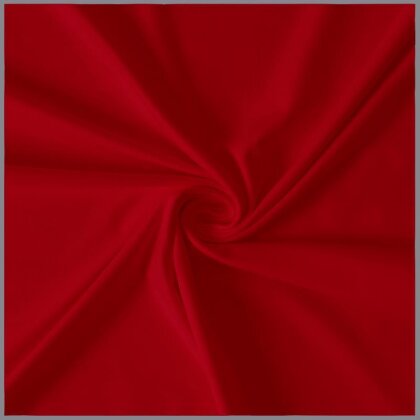 0,4 Meter - Baumwolljersey *Mila* - rot