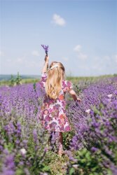 Baumwollpopeline Digital bunte Einhörner - blau