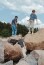 Baumwolljersey Oldtimer - jeans