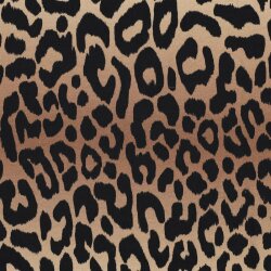French Terry Digital Leo-Regenbogenstreifen  - beige