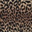 French Terry Digital Leo-Regenbogenstreifen  - beige