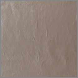 Crash Taft Uni - warm beige