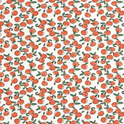 Baumwolljersey Orangen - weiss