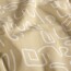 Baumwolljersey wilde Linien - beige
