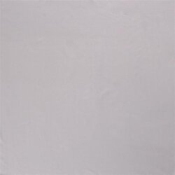 0,8 Meter - French Terry *Gaby* BIO~Organic - silbergrau