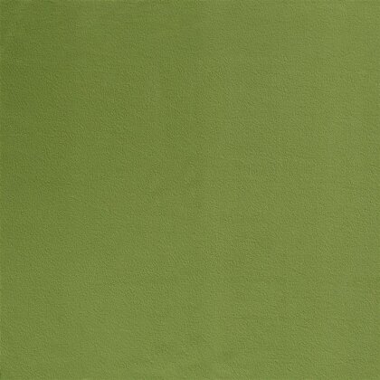 Antipilling Fleece *Marie* Uni - spring green