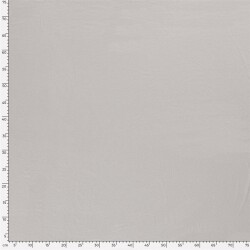 Viskose Jersey *Marie* Uni - silbergrau