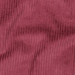Breitcord *Vera* - beere