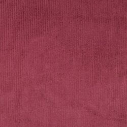 Breitcord *Vera* - beere