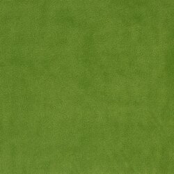 0,5 Meter - Antipilling Fleece *Vera* - grün