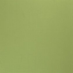 Baumwolljersey *Marie* - maigrün