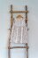 Baumwolljersey zarte Blumenranken creme