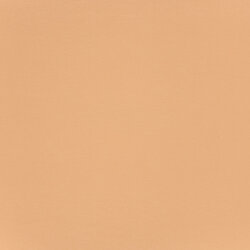 French Terry Uni *Gaby* Bio~Organic - altsoftlachs