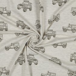 Baumwolljersey Jeep - creme meliert