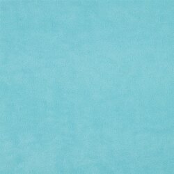 Antipilling Fleece *Vera* - hellpetrol