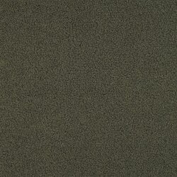 Teddystoff Doppelseitig Uni - gurkengrün