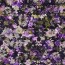 Ganzjahressweat Digital Blumen Kunst - lila