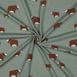 Baumwolljersey süße Bären - salbei meliert