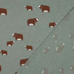 Baumwolljersey süße Bären - salbei meliert