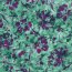 French Terry Digital Blumenschatten - türkis/violett