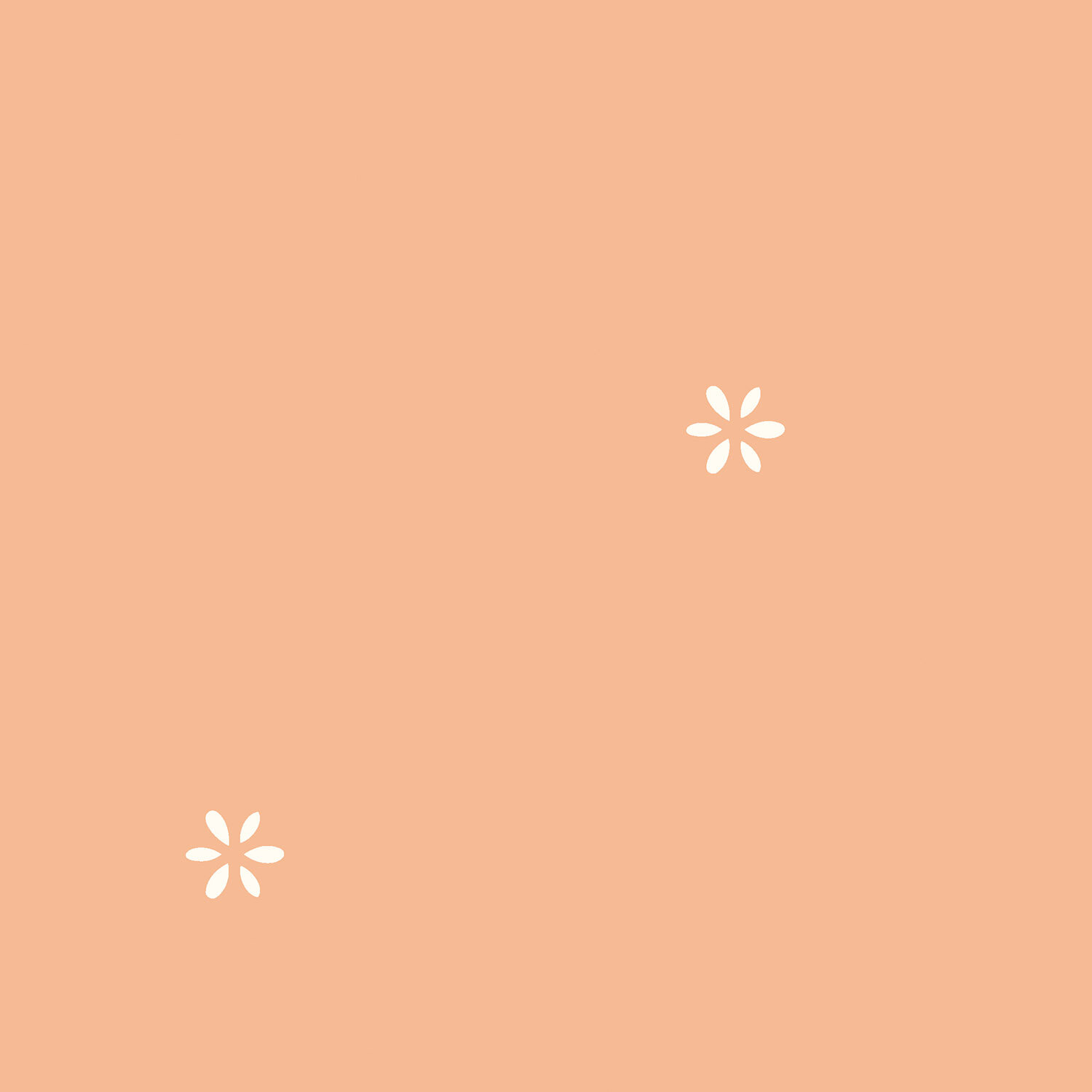 Musselin Bestickte Blümchen - helllachs