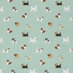 Musselin Hunde - hellblau