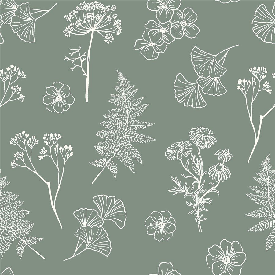 Baumwollpopeline Florale Zeichnungen - salbei