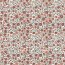 Baumwolljersey Aprikot Blumen - creme