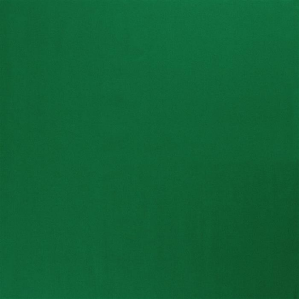 Canvas Marie grün