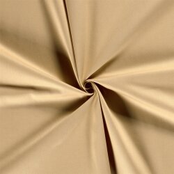 Canvas ingwer