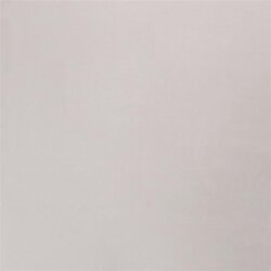 Baumwolljersey *Marie* - satingrau