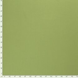 Baumwolljersey *Marie* - maigrün