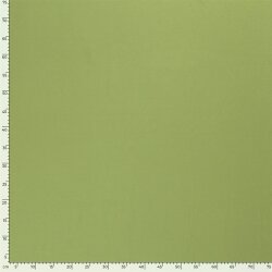 Baumwolljersey *Marie* - maigrün