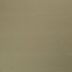 Baumwolljersey *Marie* - salbei