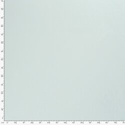Baumwolljersey *Marie* - hellmint