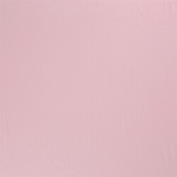 Baumwolljersey *Marie* - kalt softpink